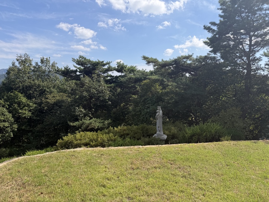 Cover Image for Falling into Korea and Japan: Part 2